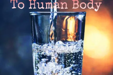 Water Benefits to Human Body