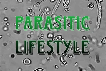 Parasitic Lifestyle